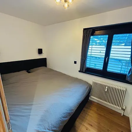 公寓 Alpen Iii 埃尔毛